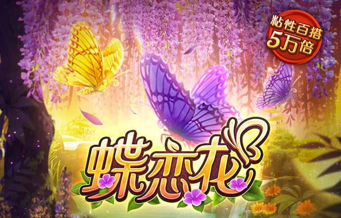 hth会体会官网app